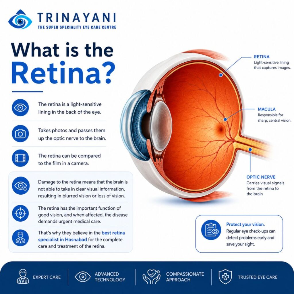 What is the Retina?
